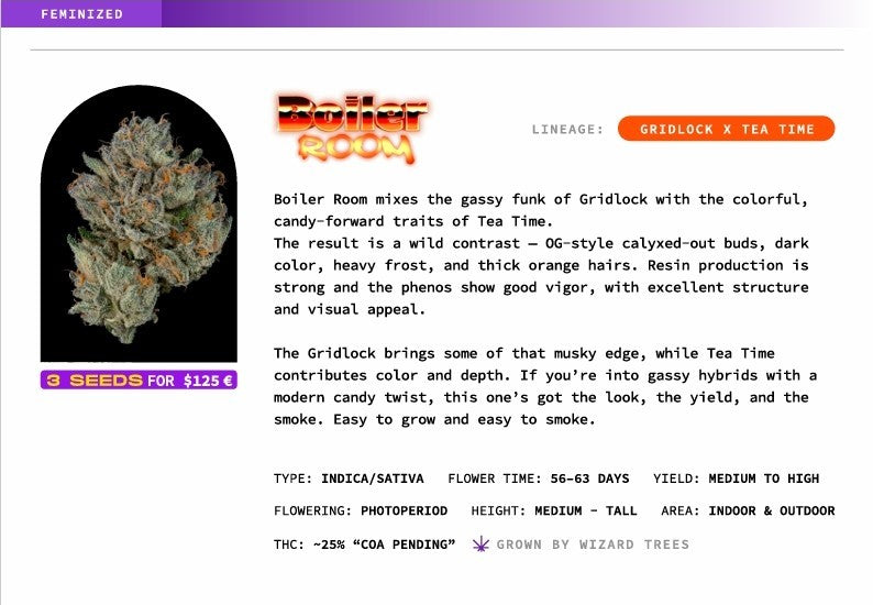 Boiler Room🏆Feminized 3Seeds