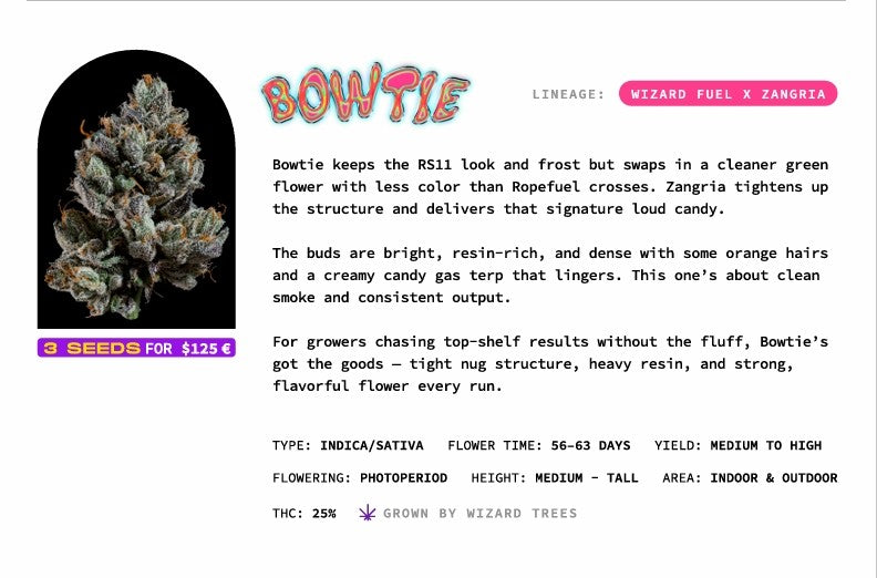 Bowtie🏆Feminized 3Seeds