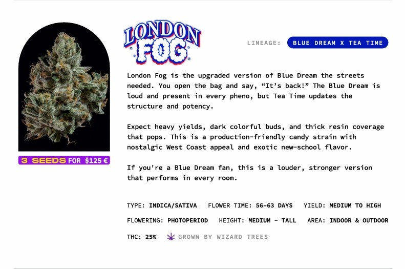 London Fog🏆Feminized 3Seeds