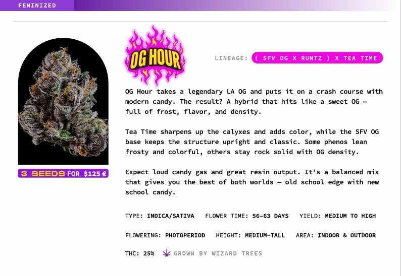 OG Hour🏆Feminized 3Seeds