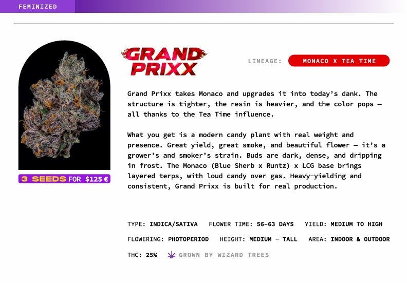 Grand Prixx🏆Feminized 3Seeds