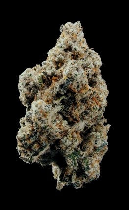 World Breeders Seeds Crunch