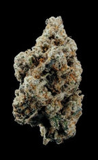 World Breeders Seeds Crunch
