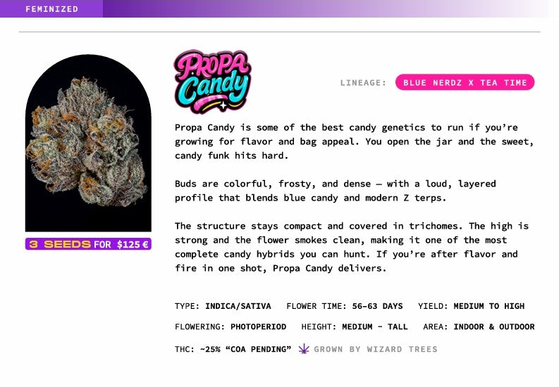 Propa Candy🏆Feminized 3Seeds