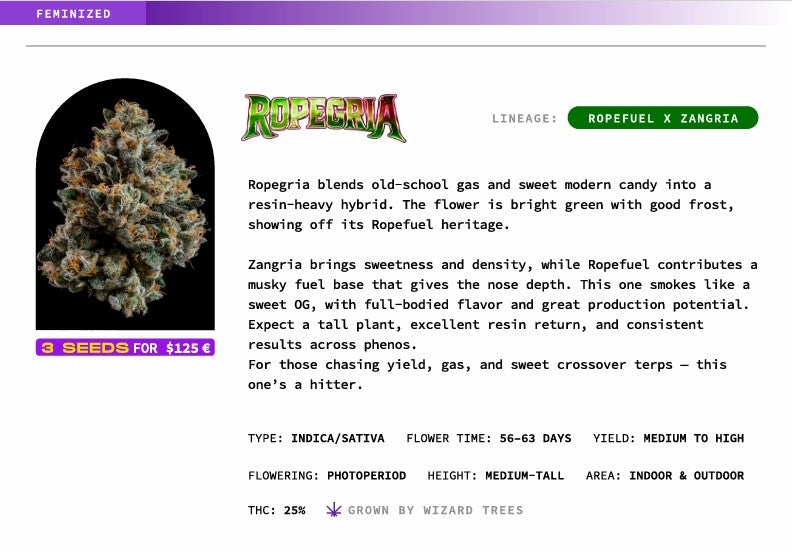 Ropegria🏆Feminized 3Seeds