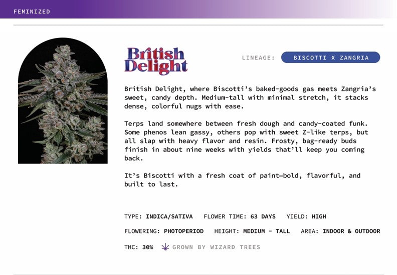 British delight 🏆 Feminized 3Seeds