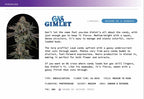 Gas Gimlet 🏆 Feminized 3Seeds