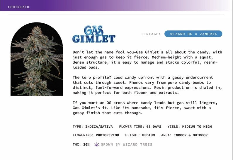 Gas Gimlet 🏆 Feminized 3Seeds