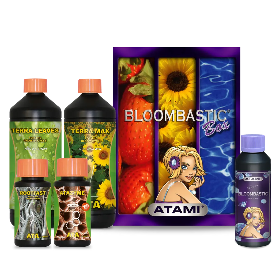 ATA Bloombastic Box
