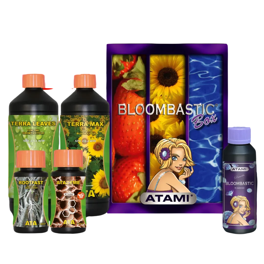 ATA Bloombastic Box