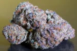 Blue Gem🏆Feminized 3Seeds