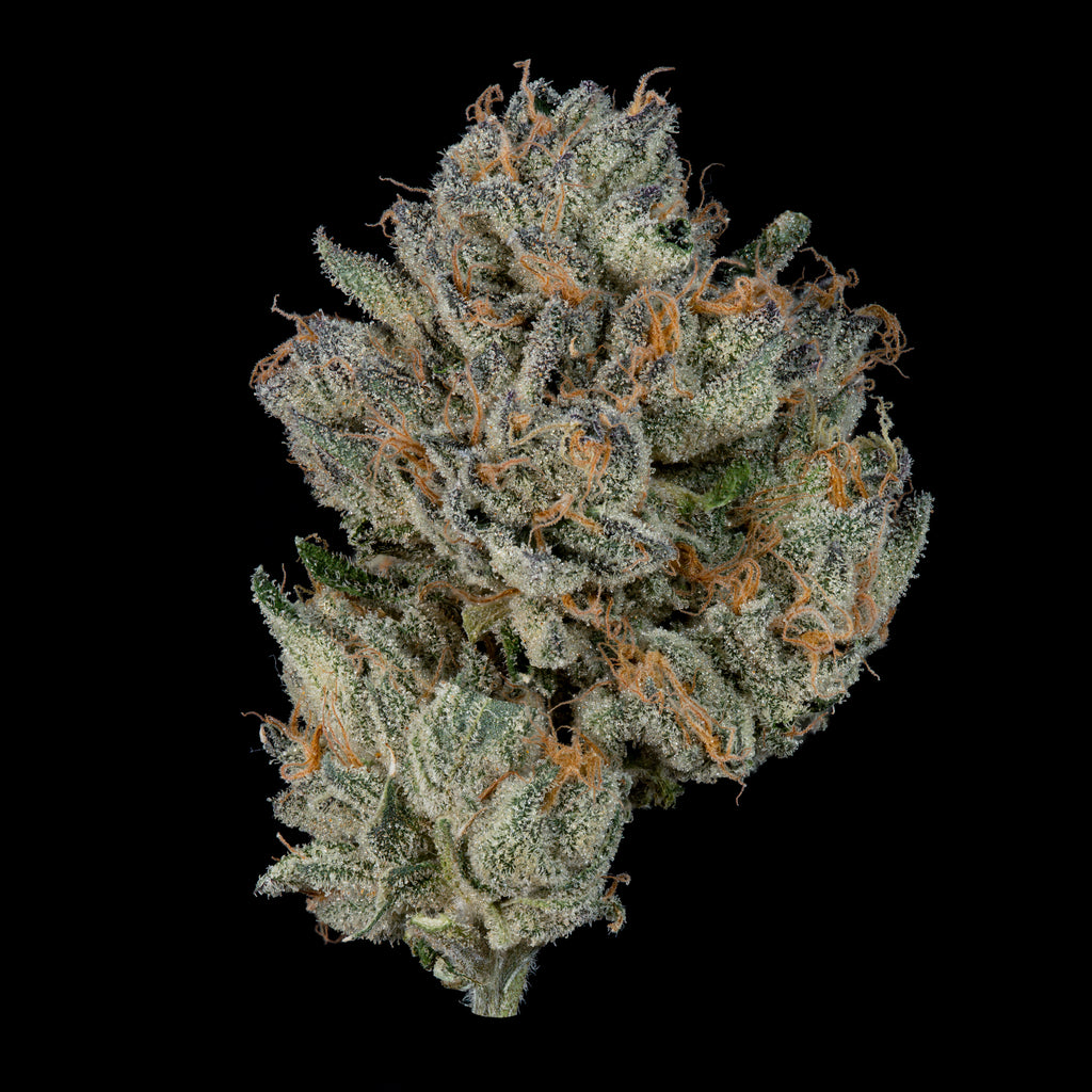 Boiler Room🏆Feminized 3Seeds