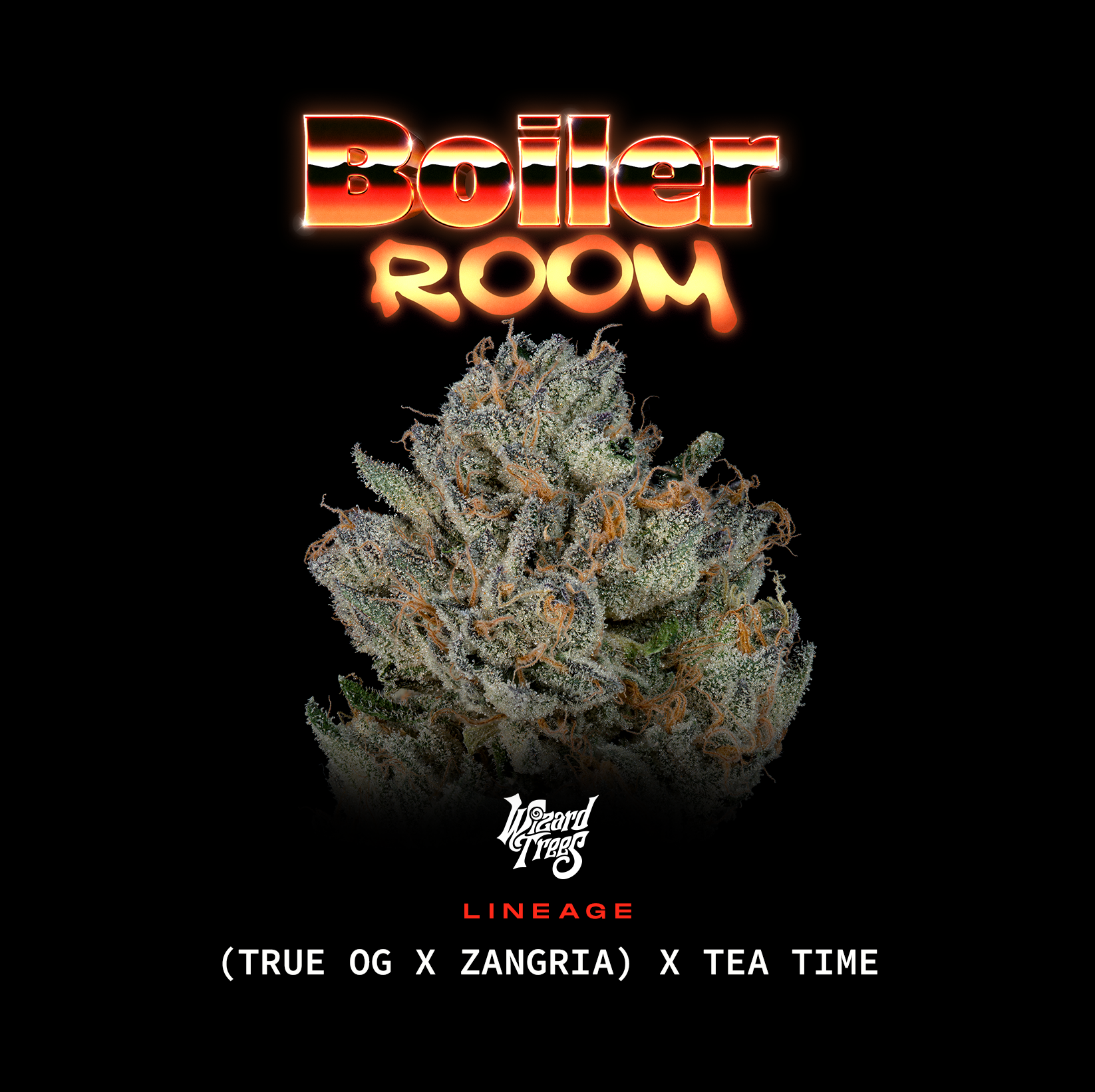 Boiler Room🏆Feminized 3Seeds