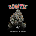 Bowtie🏆Feminized 3Seeds