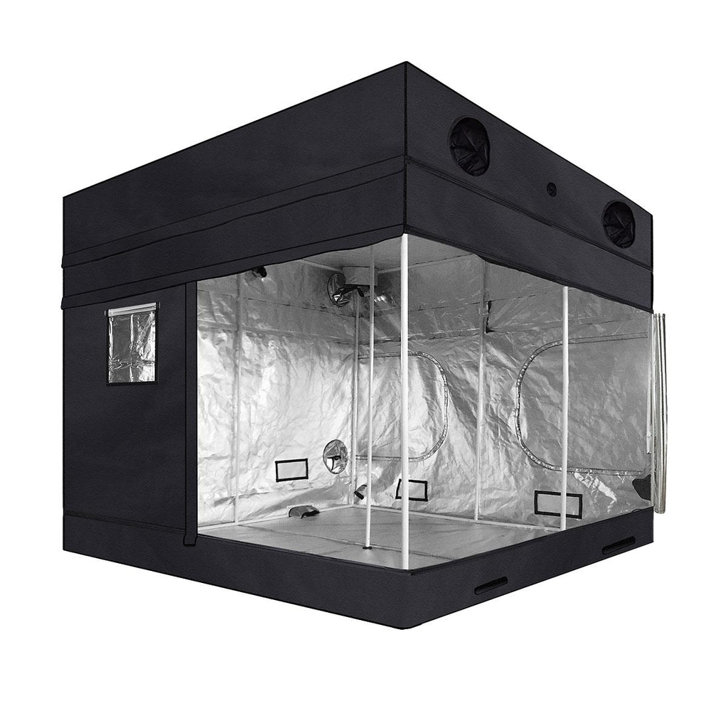 Dutch Masters Pro Grow Zelt 240x240x220/250 cm