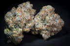 Caramba Feminized 3Seeds