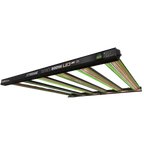 Dimlux Xtreme Series 800W LED MKII