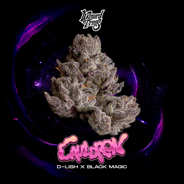 Wizzard Trees, Black Magic, Cauldron 3 Seeds