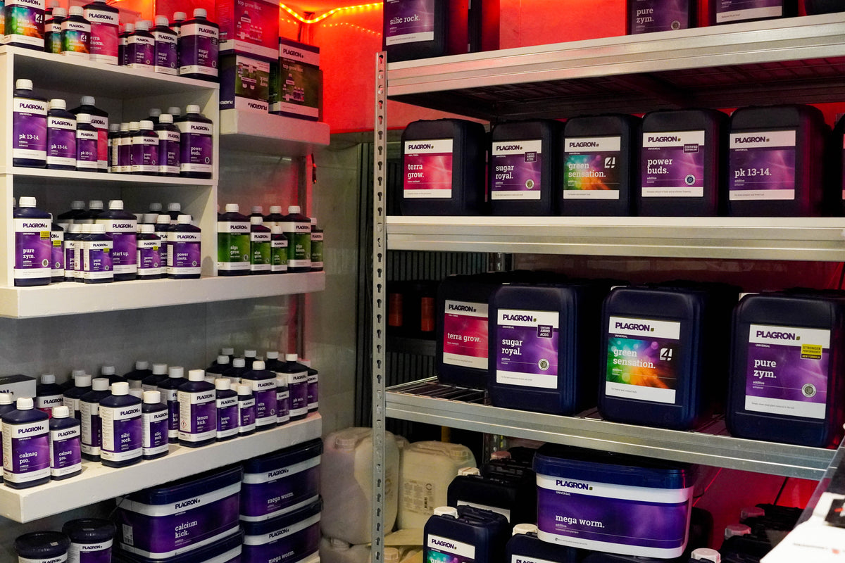 GrowNow36 in Herzogenrath