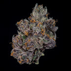 Grand Prixx🏆Feminized 3Seeds