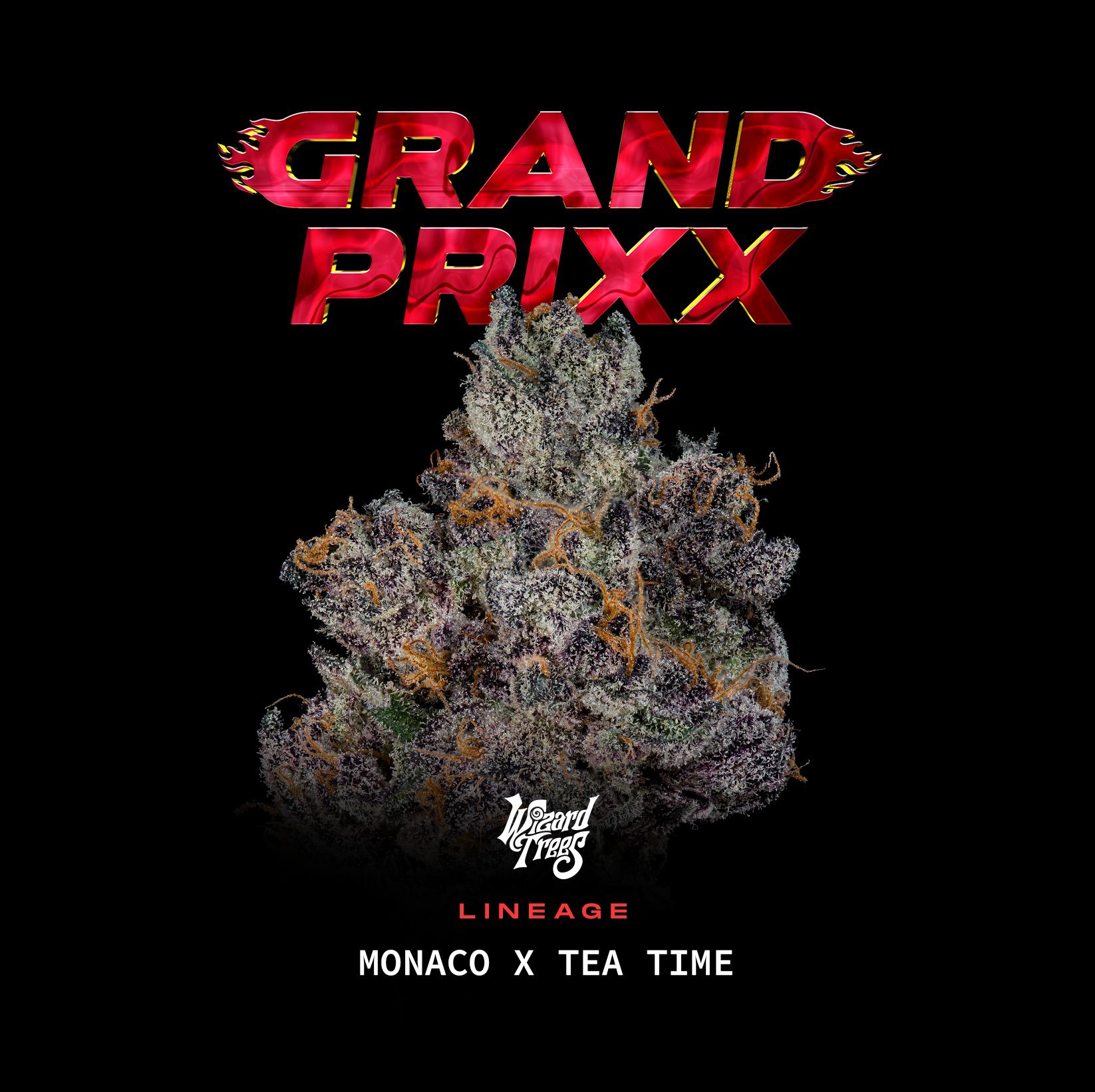 Grand Prixx🏆Feminized 3Seeds