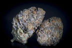 Gulupa🏆Feminized 3Seeds