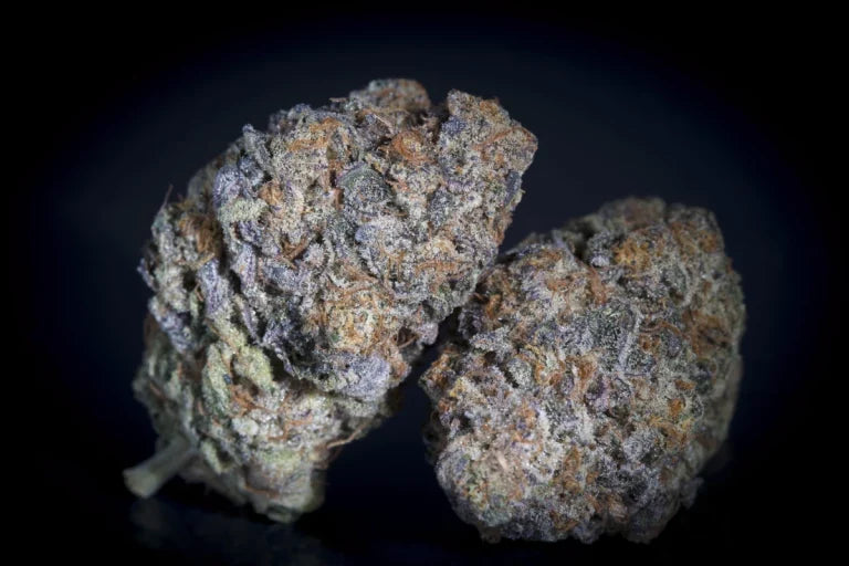 Gulupa🏆Feminized 3Seeds