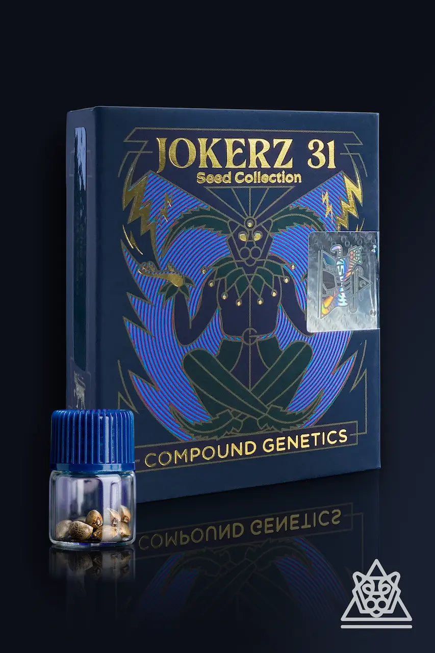 Jokerz Line 31 - Glue31 - Feminized 7Seeds