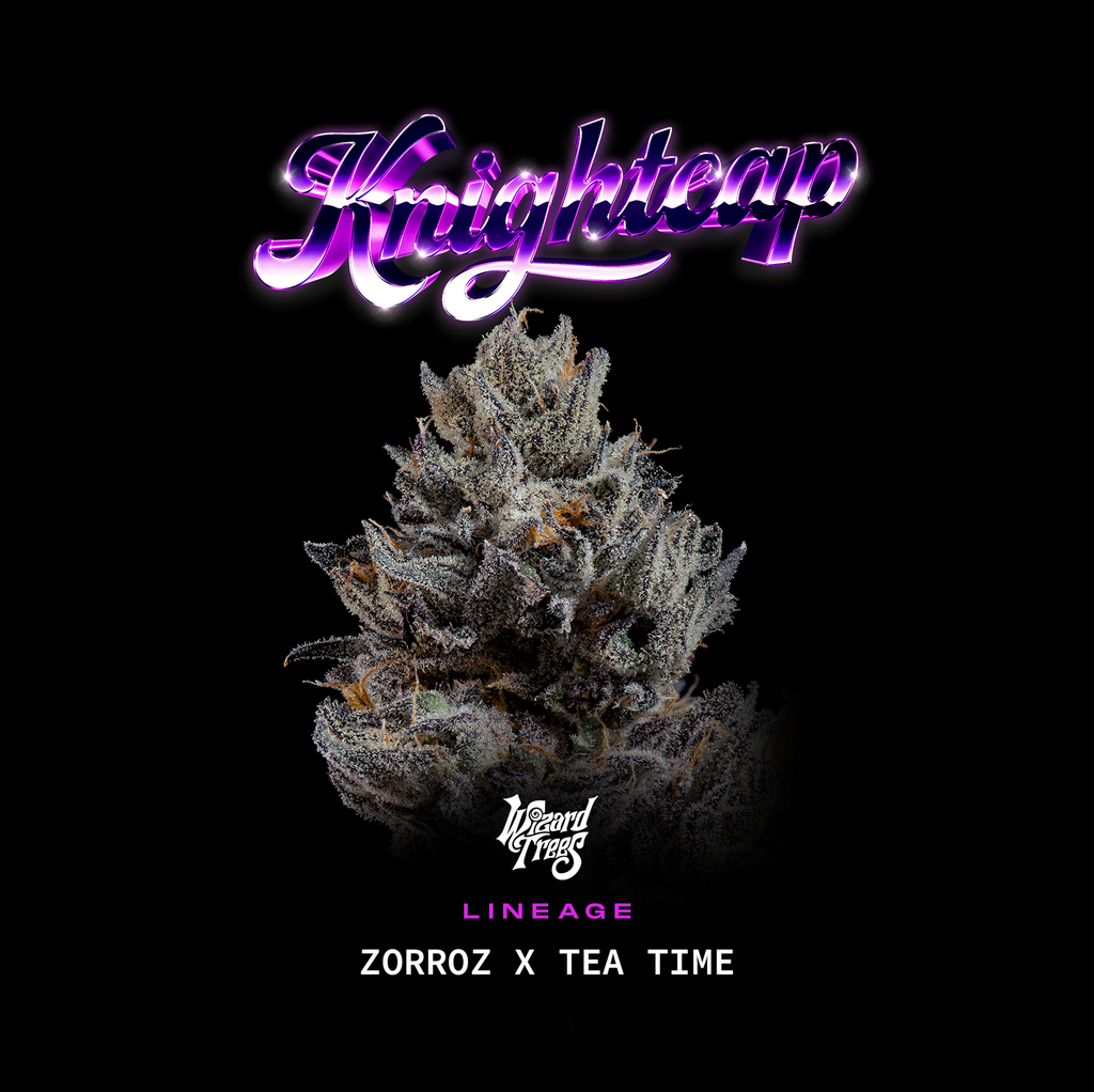 KnightCap🏆Feminized 3Seeds