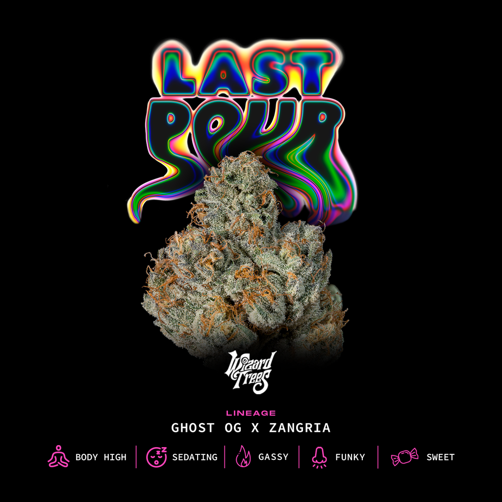 Last Pour 🏆Feminized 3 Seeds