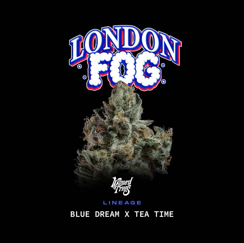 London Fog🏆Feminized 3Seeds