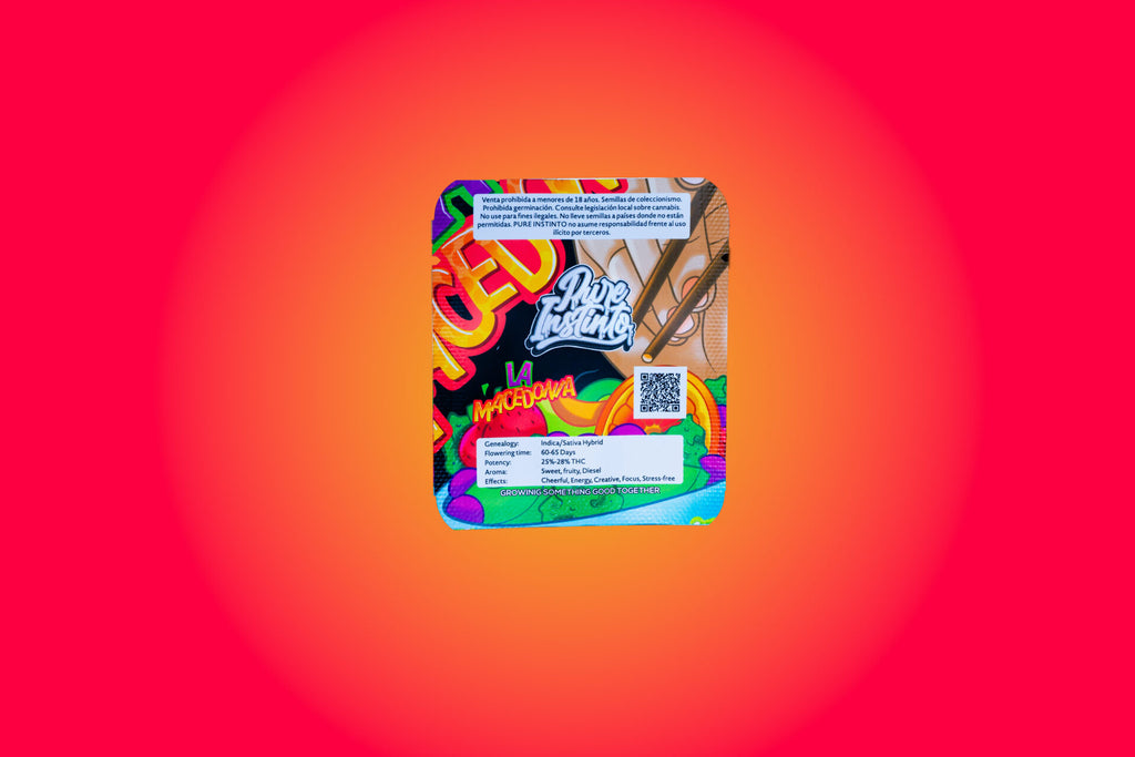 La Macedonia feminisiert, 1Seed