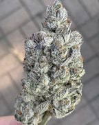 Compound Genetics - Marshmallow OG - Feminized 5Seeds