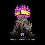 OG Hour🏆Feminized 3Seeds