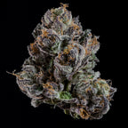 OG Hour🏆Feminized 3Seeds