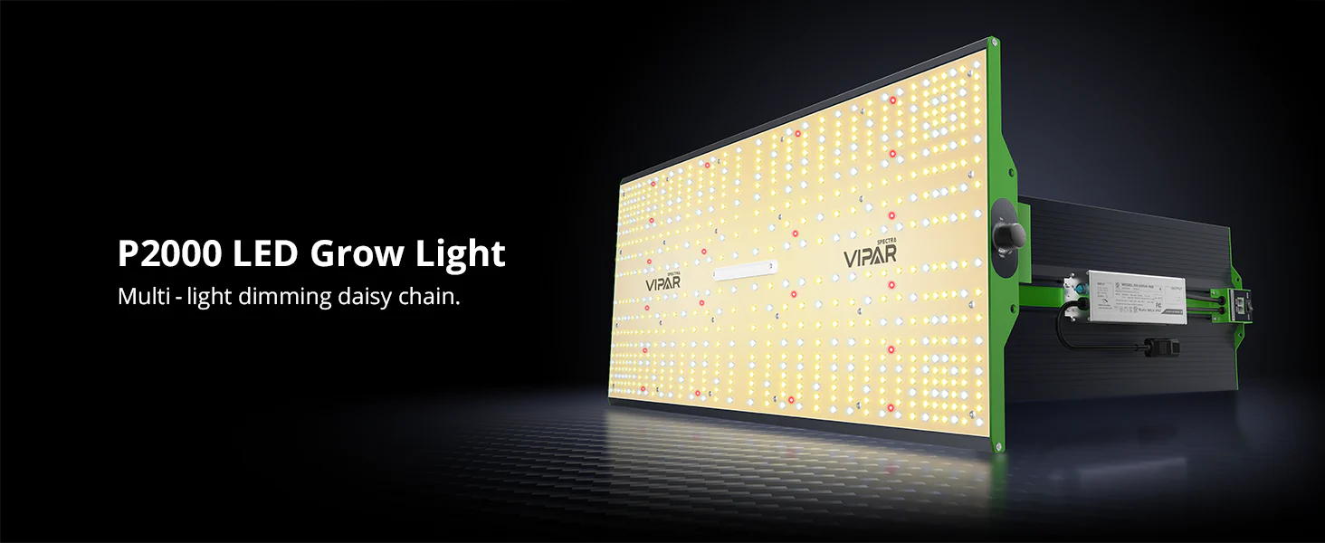 Viparspectra P2000 240 W + Daisy Chain