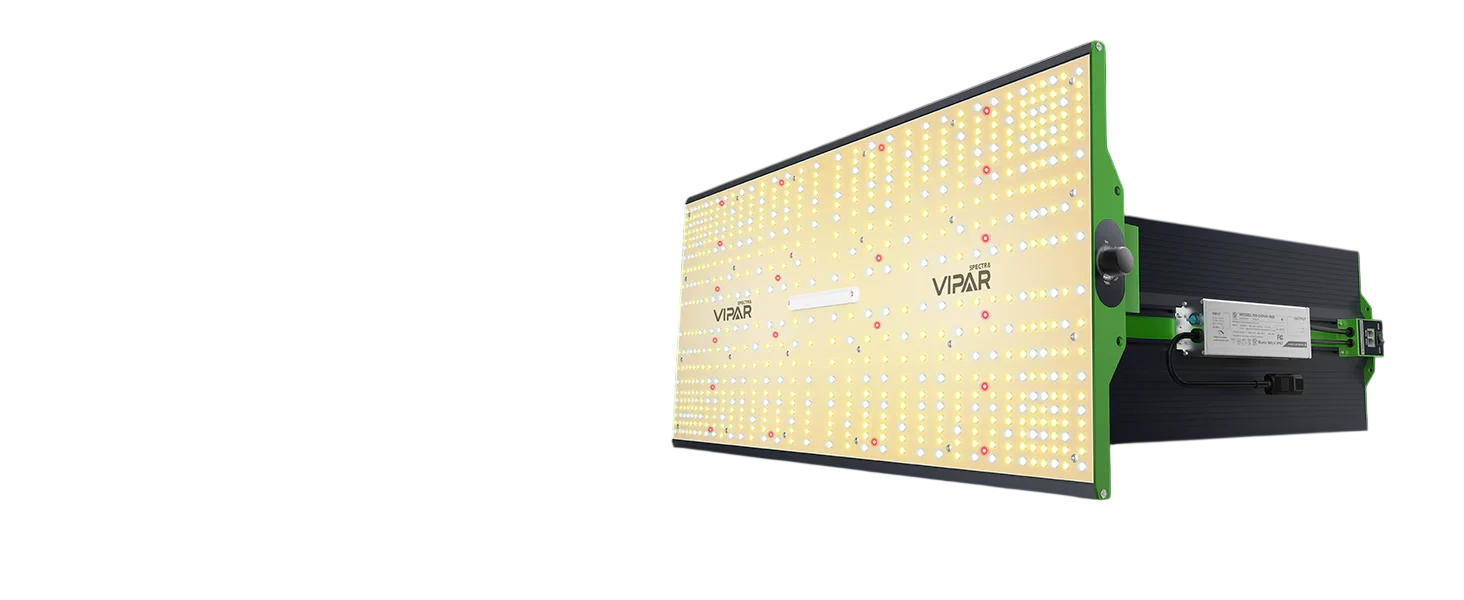 Viparspectra P2000 240 W + Daisy Chain