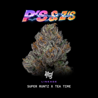 P's & Z's🏆Feminized 3Seeds