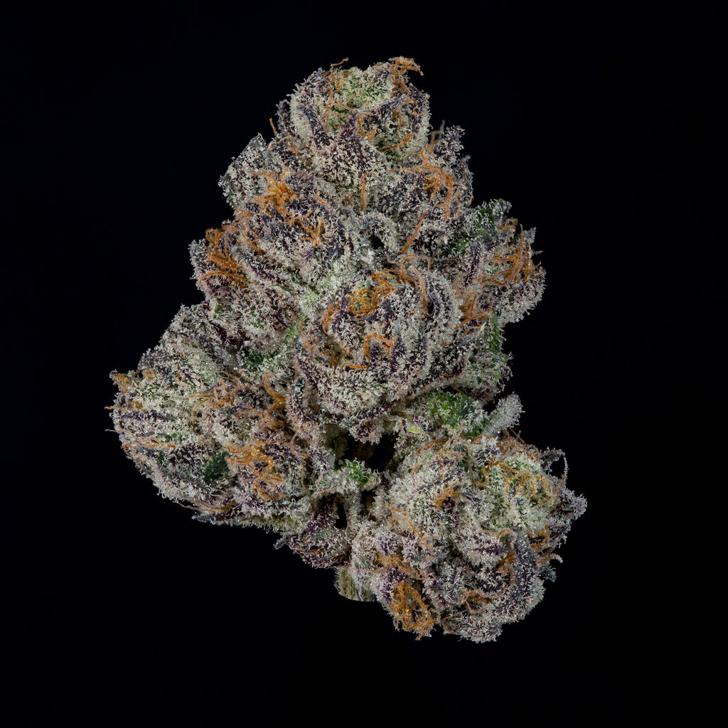 P's & Z's🏆Feminized 3Seeds