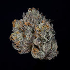 Propa Candy🏆Feminized 3Seeds