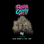 Propa Candy🏆Feminized 3Seeds