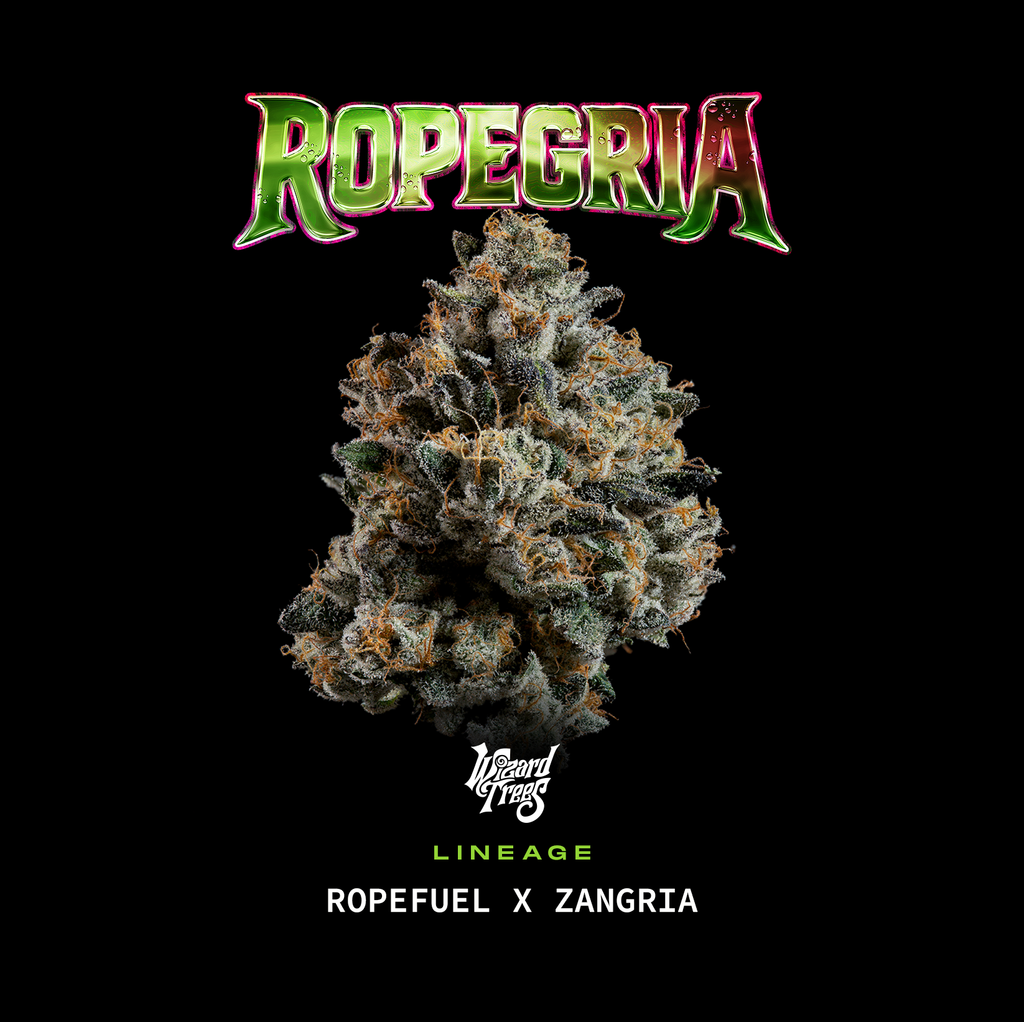 Ropegria🏆Feminized 3Seeds