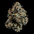 Ropegria🏆Feminized 3Seeds