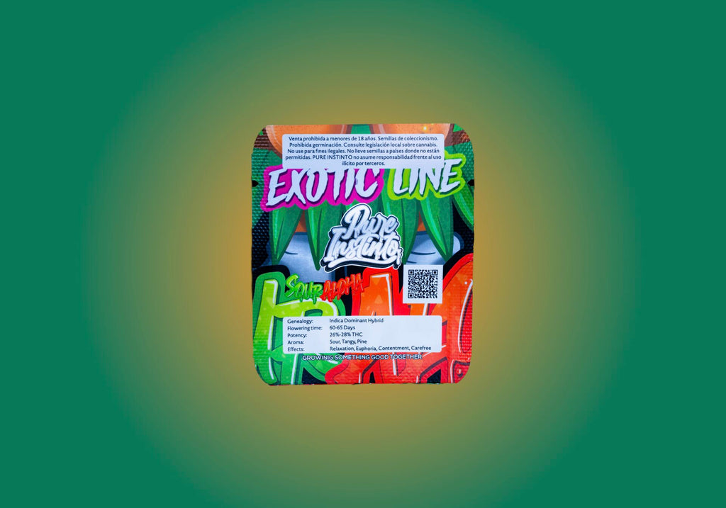 Saure Aloha feminisiert, 1Seed