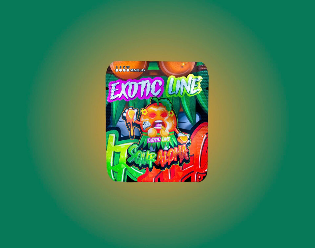 Saure Aloha feminisiert, 1Seed