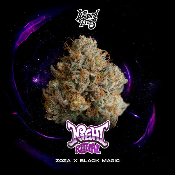 Wizard Trees Genetics🏆Night Ritual, 3Seeds, Fem.