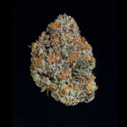 Wizard Trees Genetics🏆Potion,3 Seeds, Fem.