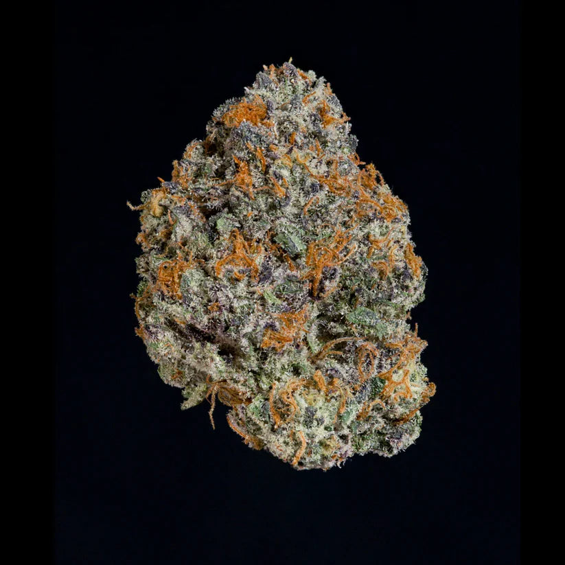 Wizard Trees Genetics🏆Potion,3 Seeds, Fem.