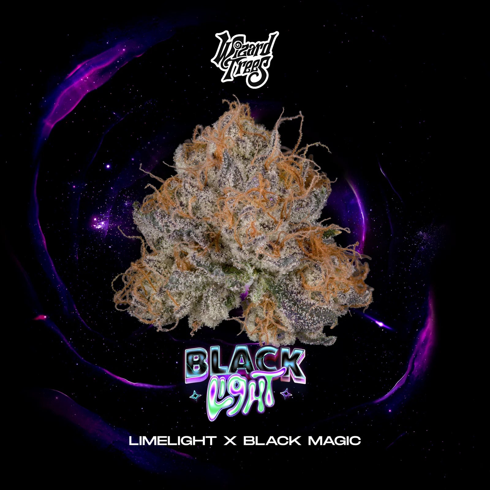 Wizzard Trees , Black Light , 3Seeds