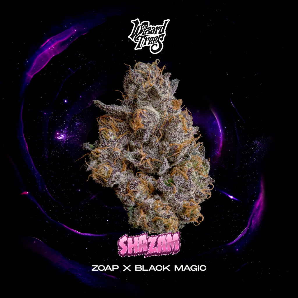 Wizzard Trees , Shazam , 3Seeds